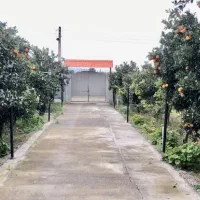 خونه باغ (ویلا) منطقه آزاد تجاری ، صنعتی بهشهر|فروش خانه و ویلا|بهشهر, |دیوار