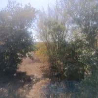 فروش زمین ۵۰۰ متری|فروش زمین و ملک کلنگی|صفادشت, |دیوار