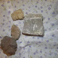 فروش سنگ فسیل به تعداد بالا