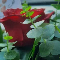 فیش حج عمره