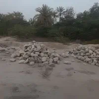 زمین