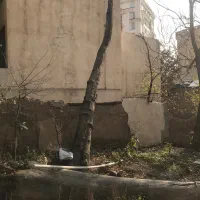 چوب|مصالح و تجهیزات ساختمان|تهران,  امام زاده قاسم (نیاوران)|دیوار