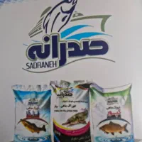 دعوت به همکاری «مدیر داخلی»