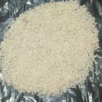 نیم دانه