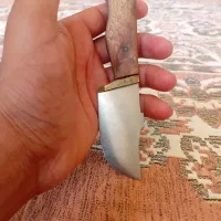 گازن با قیمت خوب
