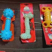 لوازم پت شاپ اسباب بازی و ظرف غذای سگ و گربه|لوازم جانبی حیوانات|بهشهر, |دیوار