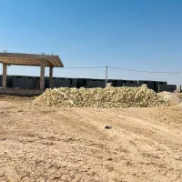 زمین-تنوب-سید