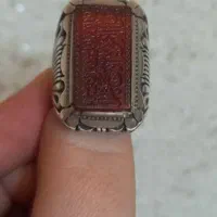 رکاب استاد مهدی زنجان