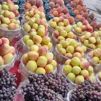 نیروهای ساده نیمه ماهر و ماهر