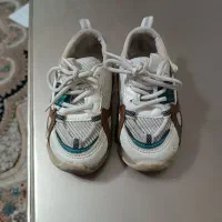 کفش قسمت توافقی