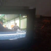 تلوزیون ۱۴ شهاب سالم