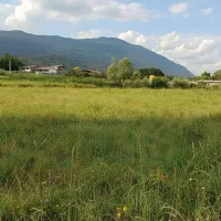 زمین ۱۵۰ متری ـ سند دار