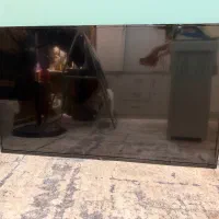 تلویزیون ۵۵ اینچ tcl