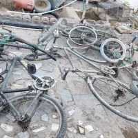 تعدادی دوچرخه|دوچرخه، اسکیت، اسکوتر|کرمان, |دیوار