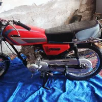 شهاب الگانس وحشی