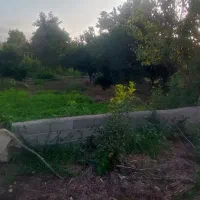زمین ۲۱۰ متر لنگرود،شلمان،بالامحله،گلسار|فروش زمین و ملک کلنگی|شلمان, |دیوار