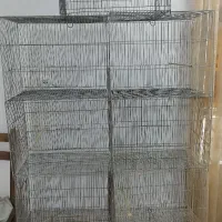 قفس پرنده|لوازم جانبی حیوانات|سبزوار, پیام|دیوار