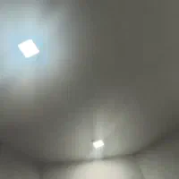 همخونه-خانم