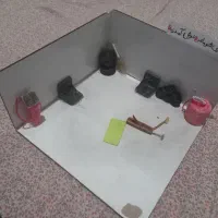 ماکت|اسباب‌‌بازی|تبریز, |دیوار