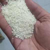 نیمدانه اعلا|خوردنی و آشامیدنی|قزوین, |دیوار