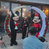 برگزاری مراسم ، سیستم صوتی ، بادکنک آرایی|خدمات پذیرایی، مراسم|ایلام, |دیوار