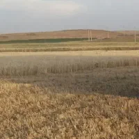 اجاره زمین کشاورزی