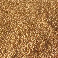 خریدار پوست پسته و پوک تناژ بالا