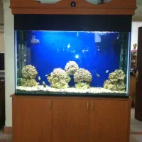 اکواریم بزرگ