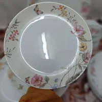 سرویس آرکوپال  در حد نو|ظروف سرو و پذیرایی|قم, چهل درخت‎|دیوار