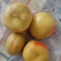 میوه مصنوعی