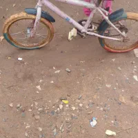 گلدان صورتی