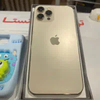 آیفون ۱۲ پرومکس|موبایل|اردبیل, |دیوار