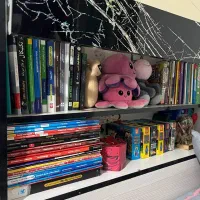 تخت خواب|تخت و سرویس خواب|نوشهر, |دیوار