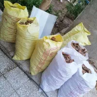 خرید فروش نان خشک