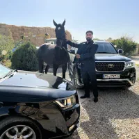 بادیگارد حفاظت اشخاص