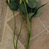 گل و گلدان در مدلها و رنگهای مختلف|گل مصنوعی|پیشوا, |دیوار