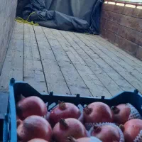 فورس۶تن خابدار|خودرو سنگین|فسا, |دیوار