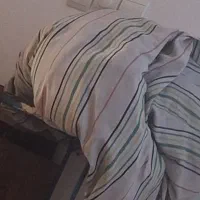 چادر ساینا s و ex