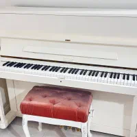 پیانو پتروف PETROF کشور چک اروپایی