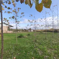 زمین-مسکونی-محدوده-ماسال
