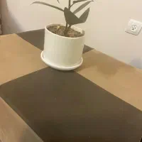 مبلمان هفت نفره|مبلمان خانگی و میز عسلی|ایلام, |دیوار