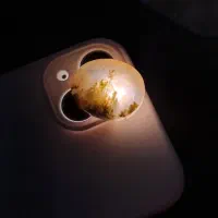 نگین انگشتری شجر خزه ای زیبا