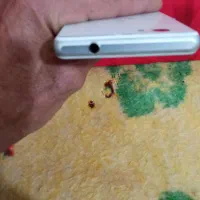 یه عهد گوشی سونی|موبایل|لاران, |دیوار