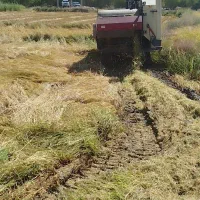 یه-عدد-زمین-خوب-سرحال-ب-متراژ-510متر