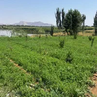 زمین باغی کنار دریاچه باباشیخعلی(شهر زاینده رود|فروش زمین و ملک کلنگی|فولادشهر, زاینده رود|دیوار