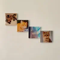 مگنت با عکس دلخواه