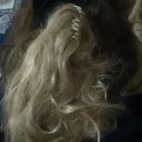 موی مصنوعی