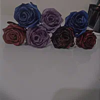 گل ربانی|گل مصنوعی|همدان, |دیوار