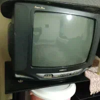 تلویزیون