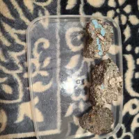 سنگ فیروزه ای وهرمز|کلکسیون اشیاء عتیقه|کیش, |دیوار